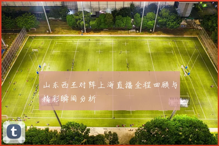 山东西王对阵上海直播全程回顾与精彩瞬间分析